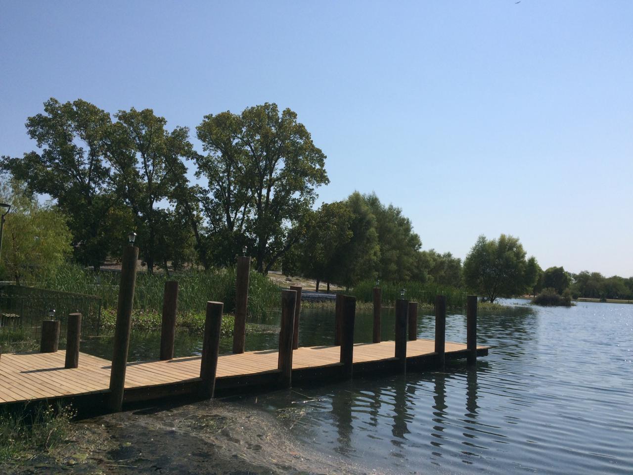 WhatsApp Image 2020-10-05 at 2.21.11 PM (1)