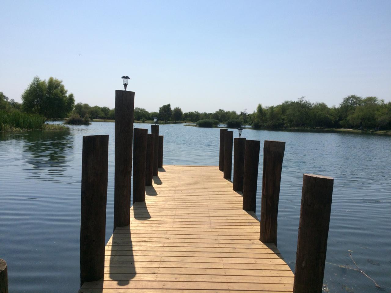 WhatsApp Image 2020-10-05 at 2.21.12 PM (1)