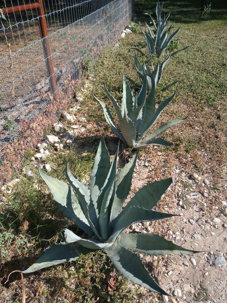 WhatsApp Image 2020-10-12 at 1.02.16 PM (1)