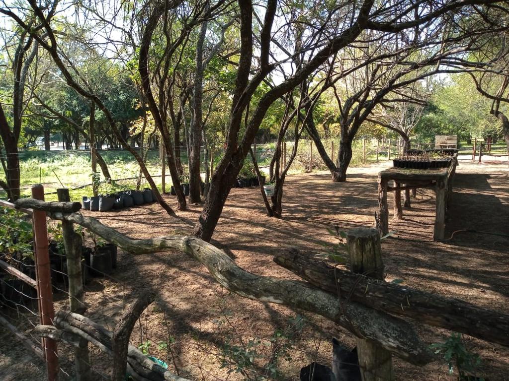 WhatsApp Image 2020-10-12 at 1.02.16 PM (4)